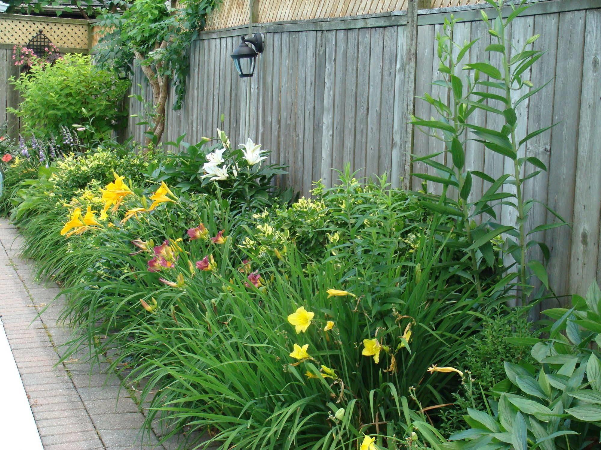 Robinsong Bed and Breakfast Thorold Εξωτερικό φωτογραφία